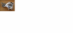 cambio.png