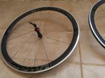 IMG_20161003_165353.jpg