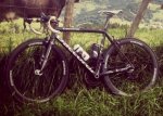 IMG-20161005-WA0003.jpg