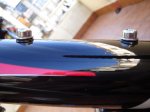 DSC08028_redimensionar.JPG