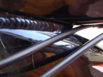 DSC08029_redimensionar.JPG