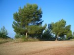 Marxa Villafames 2007 (1018).JPG