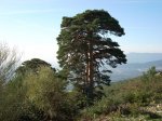 Imagen 016.jpg