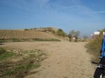 DSC02686_resize.JPG