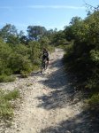 DSC02762_resize.JPG
