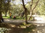 P1010197.jpg