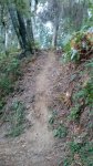 IMG_20161005_195903.jpg