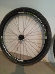 IMG_20161001_172809.jpg