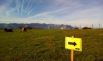 IMG-20161007-WA0003.jpeg