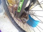 IMG_20161007_151758.jpg