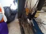 IMG_20161007_151809.jpg
