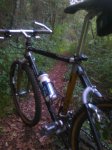 IMG_20161007_192248.jpg