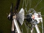 DSC06668.JPG