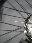 IMG_20161008_113501.jpg
