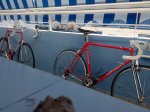 IMG_20160615_081637.jpg