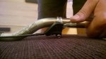 IMG-20161008-WA0002.jpg