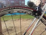 20161009_102234.jpg