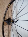 IMG_20161009_135252.jpg
