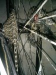 IMG_20161009_201334.jpg