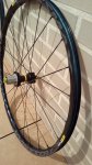 IMG_20161009_130917.jpg