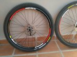 IMG_20161011_163108.jpg