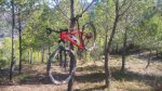 20161008_110758.jpg
