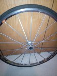 IMG_20160927_220043.jpg