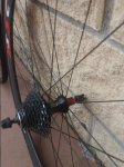 20161012_115312.jpg