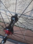 20161012_115252.jpg