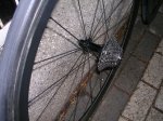 DSCN4616.JPG