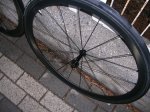 DSCN4617.JPG