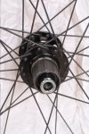 DSCF1169.JPG