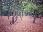 20161013_192302-01.jpeg