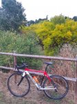 20161013_192642-01.jpeg