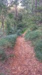 20161009_164407-01.jpeg