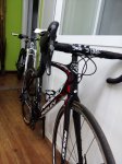 ridley noah (8).jpg