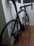ridley noah (9).jpg