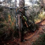 IMG_20161007_115440.jpg