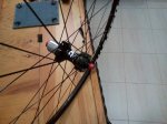 IMG_20161015_082001.jpg