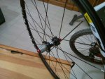IMG_20161015_081949.jpg