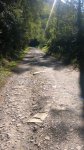 WP_20160924_005.jpg