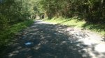 WP_20160924_008.jpg