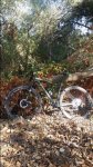 20161016_111532.jpg