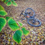 20161016_181707-01.jpeg