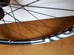 20161017_103250.jpg