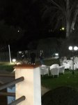 Night Shot.jpg