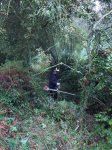 IMG-20161015-WA0012.jpg