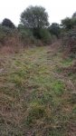 IMG-20161015-WA0027.jpg
