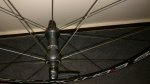 IMG-20161017-WA0017.jpg
