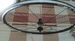 IMG-20161017-WA0004.jpg